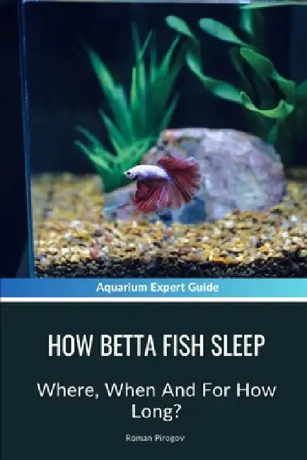 How Betta Fish Sleep: Where, When And For How Long? by Roman Pirogov