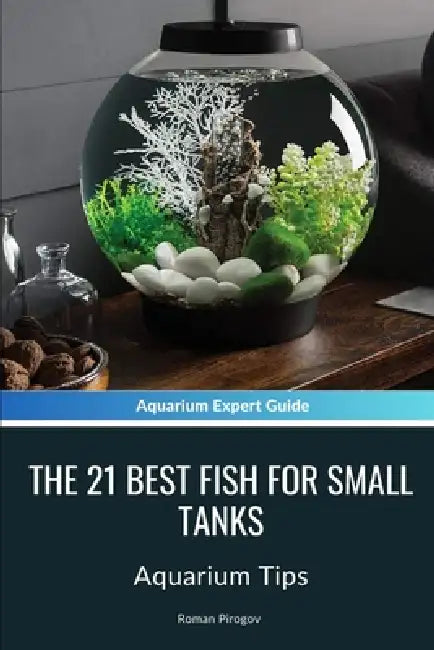 The 21 Best Fish For Small Tanks: Aquarium Tips by Roman Pirogov