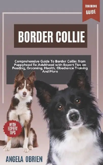 BORDER COLLIE Training Guide: Comprehensive Guide To Border Collie Care: From Puppyhood To Adulthood with Expert Tips on Feeding, Grooming, Health, Ob by Angela Obrien