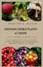 Growing Edible Plants at Home: Eat fresh, Eat local: Your Guide to Growing Nutritious Edibles Right at Home by Marleen J. Miller