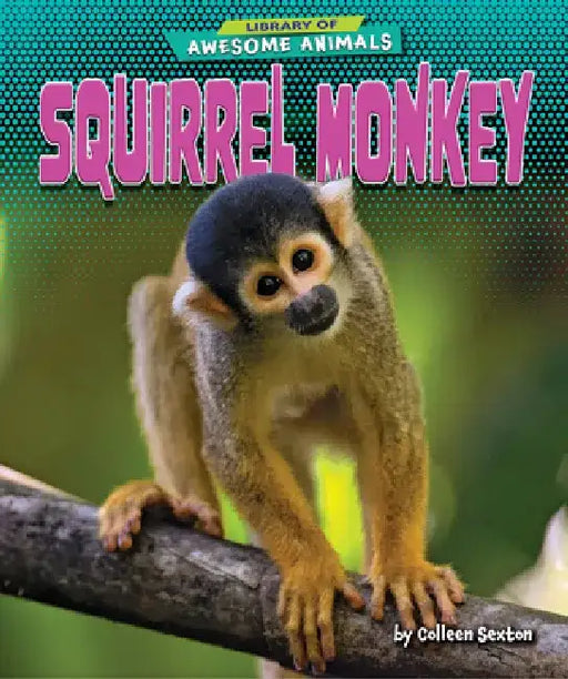 Squirrel Monkey by Colleen Sexton