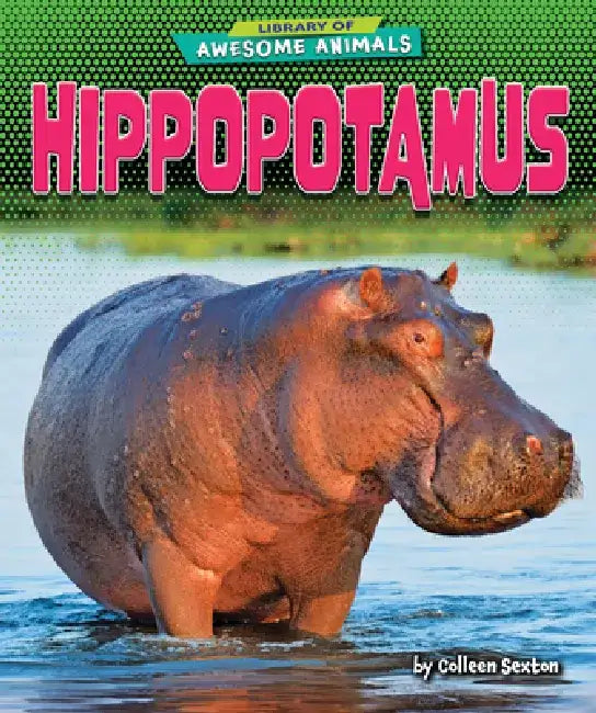 Hippopotamus by Colleen Sexton