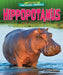 Hippopotamus by Colleen Sexton