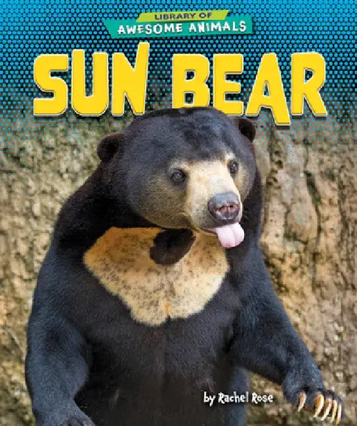 Sun Bear by Rachel Rose