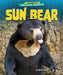 Sun Bear by Rachel Rose