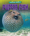 Puffer Fish by Rachel Rose