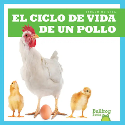 El Ciclo de Vida de Un Pollo (a Chicken's Life Cycle) by Jamie Rice