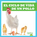 El Ciclo de Vida de Un Pollo (a Chicken's Life Cycle) by Jamie Rice