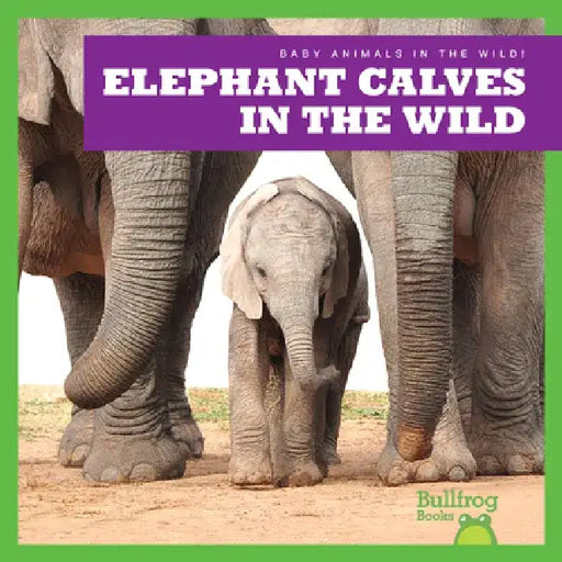 Elephant Calves in the Wild by Marie Brandle