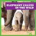 Elephant Calves in the Wild by Marie Brandle