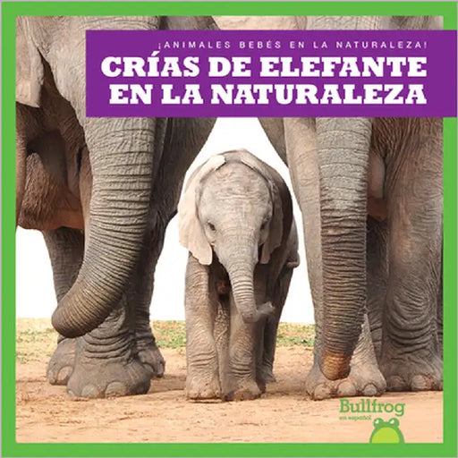 Crías de Elefante En La Naturaleza (Elephant Calves in the Wild) by Brandle, Marie