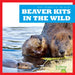 Beaver Kits in the Wild by Katie Chanez