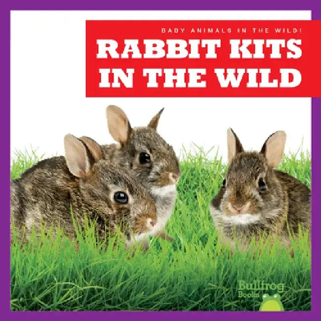 Rabbit Kits in the Wild by Katie Chanez