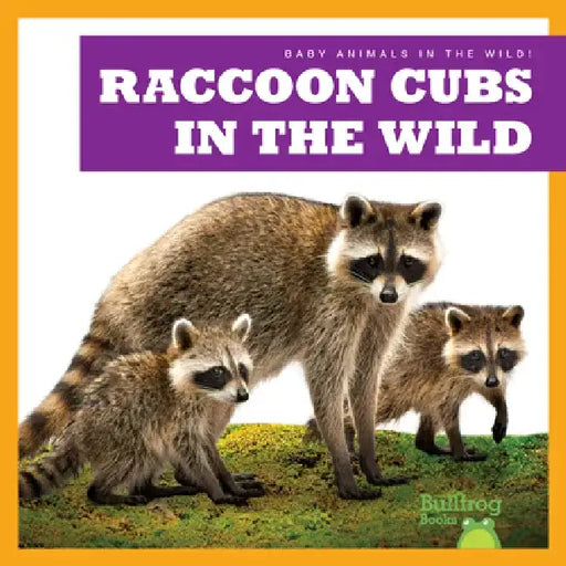 Raccoon Cubs in the Wild by Katie Chanez