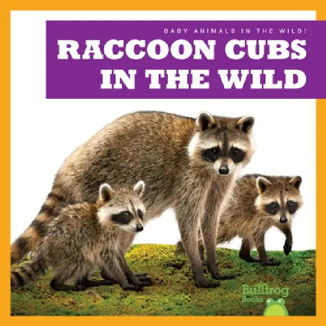 Raccoon Cubs in the Wild by Katie Chanez