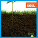 Soil by Rebecca Pettiford