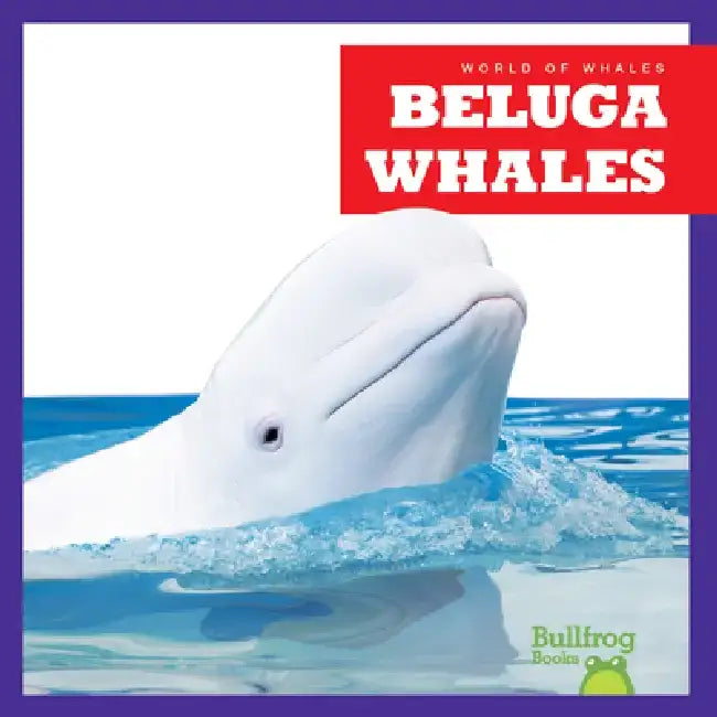 Beluga Whales by Katie Chanez