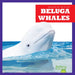 Beluga Whales by Katie Chanez