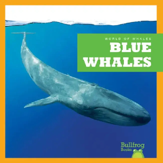 Blue Whales by Eliza Leahy