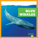 Blue Whales by Eliza Leahy