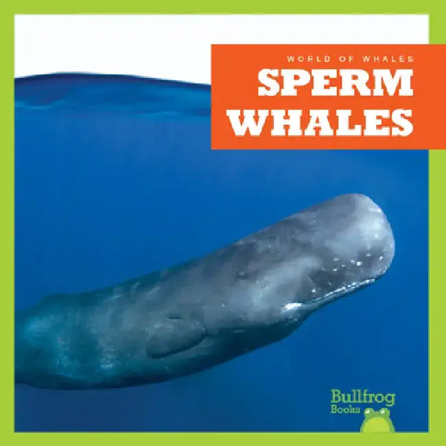 Sperm Whales by Katie Chanez