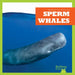 Sperm Whales by Katie Chanez