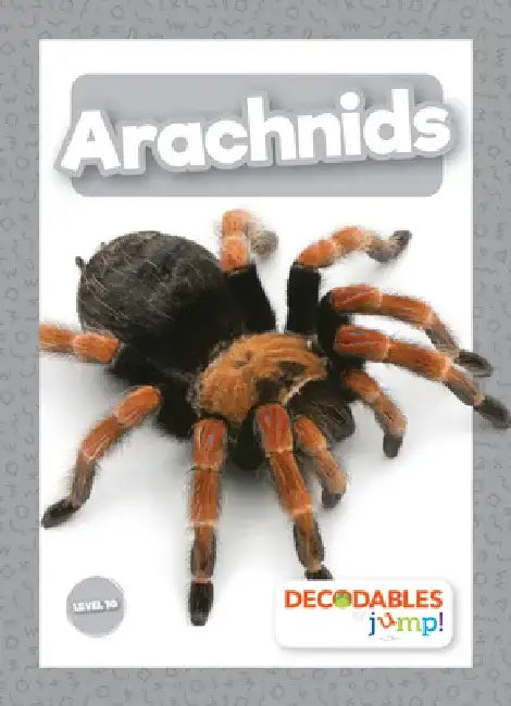 Arachnids by Joanna Brundle