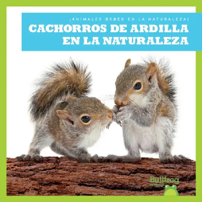 Cachorros de Ardilla En La Naturaleza (Squirrel Kits in the Wild) by Katie Chanez