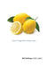Don't Forget the Lemon Zest by Willi Daffinger