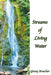 Streams of Living Water by Ginny Breecher