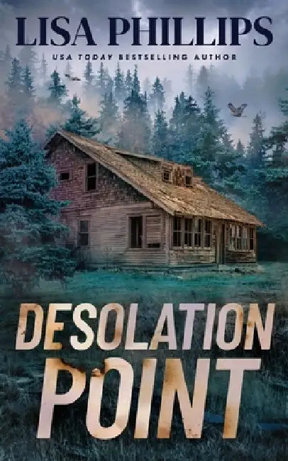 Desolation Point by Lisa Phillips