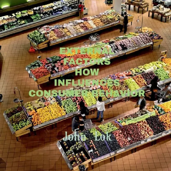 External Factors How Influences Consumer Behavior by John Lok