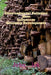 Environmental Pollution How Influences Economy Development by John Lok