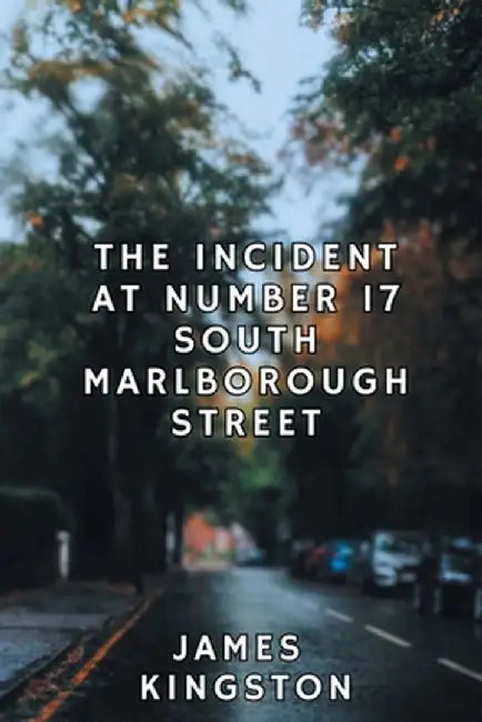 The Incident at Number 17 South Marlborough Street by James Kingston