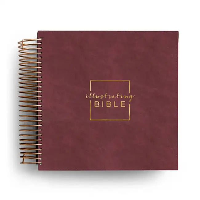 CSB Illustrating Bible - Cranberry by Dayspring