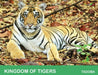 Kingdom of Tigers - Tadoba by J. Santhosh