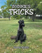 Zoinkie's Tricks by Karis White