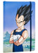 Dragon Ball Z: Vegeta Softcover Notebook by Insight Editions