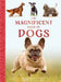 The Magnificent Book of Dogs by Kim Dennis-Bryan