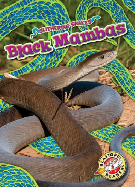 Black Mambas by Joanne Mattern