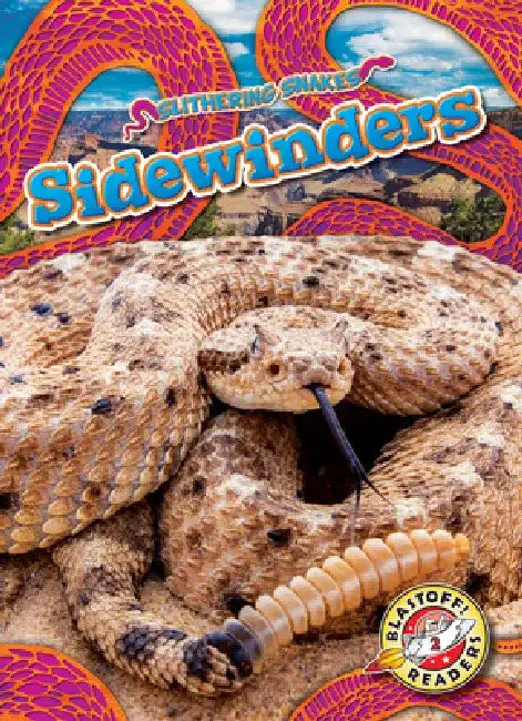 Sidewinders by Joanne Mattern