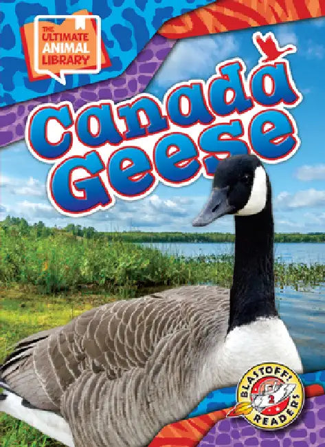 Canada Geese by Janie Scheffer