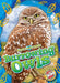 Burrowing Owls by Rachael Barnes