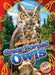 Great Horned Owls by Rachael Barnes