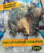 Pachycephalosaurus by Rebecca Sabelko
