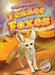 Fennec Foxes by Patrick Perish