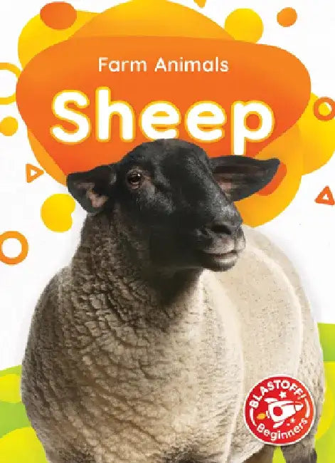 Sheep by Rebecca Sabelko