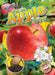 See an Apple Grow by Kirsten Chang