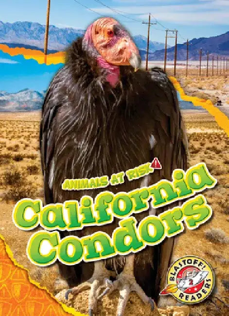 California Condors by Rachel Grack