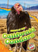 California Condors by Rachel Grack